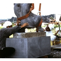 Ciel & Terre Image 9